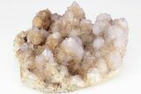 Cactus Quartz (Amethyst) Crystal Cluster - South Africa #206193-1